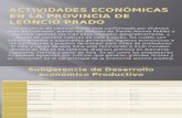 Actividades Económicas en La Provincia de Leoncio Prado