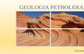 Subdivisiones de la Geología Petrolera