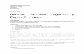 Integración Derecho Procesal - Google Docs