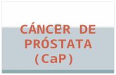 CÁNCER DE PRÓSTATA (CaP).pptx