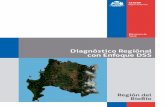 Diagnostico Regional 2013