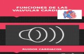 Funciones de Las Valvulas Cardiacas