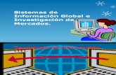 Sistemas de Información Global e Investigación de Mercados
