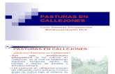Clase Pasturas en Callejones 2011