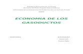 Economía de Los Gasoductos en Los Proyectos de Gas