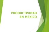 Eq. 4 Mexico Productivo