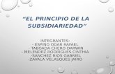 Expoccion Principio de La Subsidiariedad