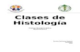 Clases de Histología IMPORTANTE - Copia