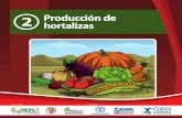 a-as972s produccion de hortalizas.pdf