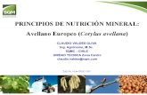 09 CV Princ Nutricion Mineral AE