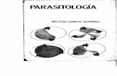 Parasitología y enfermedades parasitarias de los animales domesticos