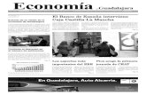 Periódico Economía de Guadalajara #22 Marzo 2009