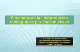 Principios de Interpretacion radiográfia