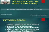 Infecciones-de-Vias-Urinarias kairo.ppt