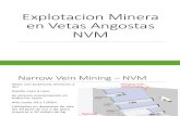 Explotacion Minera en Vetas Angostas_R. Salas