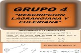 Descripción Lagrangiana y Euleriana