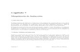 Cap7_Maquina Induccion.pdf