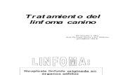 Tratamiento Linfoma Canino