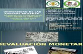 Devalucion Monetaria en Peru