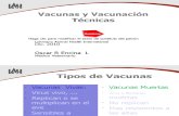 Vacunas y Vacunacion Avipro Dic 2010
