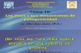 Tema 10 Los Virus y Sus Mecanismos de Patogenicidad