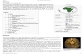 África - Wikipedia, La Enciclopedia Libre