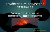 PPT DESASTRES NATURALES