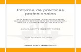 Informe Final de Prácticas Profesionales-1