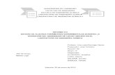 Artículo Caldera ALBERTO PDF Sin Portada