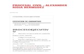 Etapa Ejecutoria _ Procesal Civil _ Alexander Rioja Bermudez