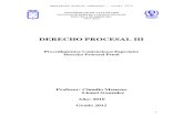 Derecho Procesal III 2008-2010 (grado 2012).pdf