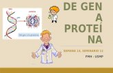 Expo de Gen a Proteína