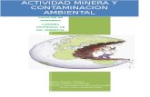 Actividad Minera y Contaminacion Ambiental