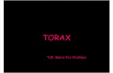 Torax presentacion