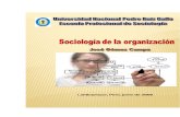 Sociologia de La Organizacion Gomez Cumpa Jose 276