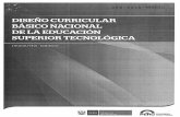 Diseño Curricular Básico Nacional de La Educación Superior Tecnológica - DIGESUTPA -  069 - 2015 - MINEDU