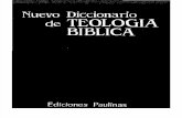 Nuevo Diccionario de Teologia Biblica 02
