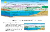 Ciclos biogeoquímicos 2015
