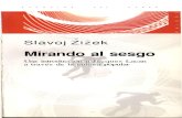 2002 - Zizek - Mirando Al Sesgo