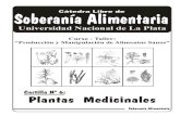 Cartilla 6 - Plantas Medicinales