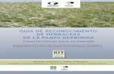 Guia de Campo - Guia de Reconocimiento y Manejo de Pastos de La Pampa Deprimida (Kit de Extension)