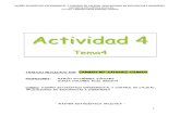 Actividad4 Sanchez Campoy CM