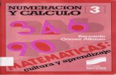 3-Numerción y Cálculo