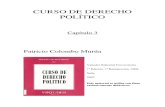 CURSO DE DERECHO POLITICO3.pdf