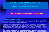 Auriculopuntura y Micrositemas2