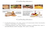SCI 241 Carbohydrate Presentation