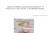 Sistema Endocrino y Regulacion Hormonal (1)