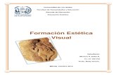 Formacion Estetica Visual.primera Categoria. Trabajo Singular.