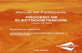 Manual_Proceso de Electroobtenci³n - Copia