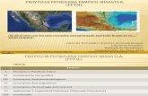 Cuenca Petrolera Tampico-Misantla (trabajo.pptx